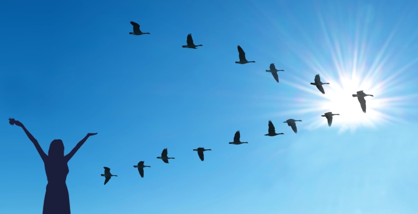 Кой знак следва АДМБ?